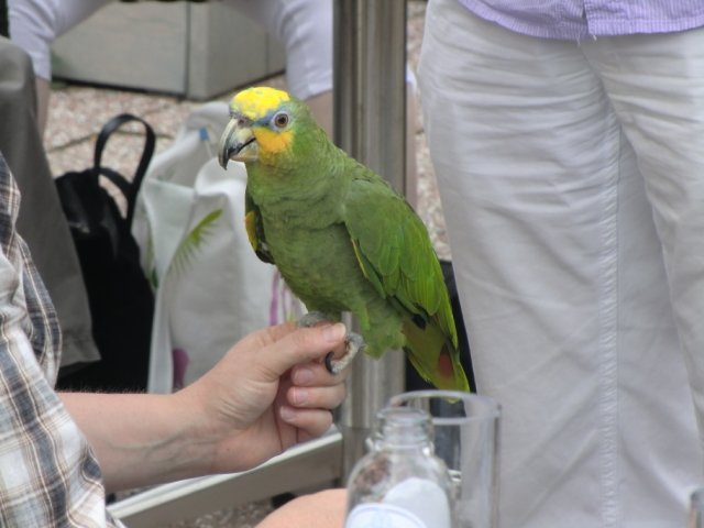 2011-09-04 Wantijpark